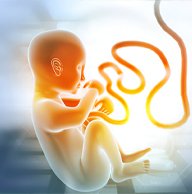 hyderabad gynecology clinic - dr pallavi reddy